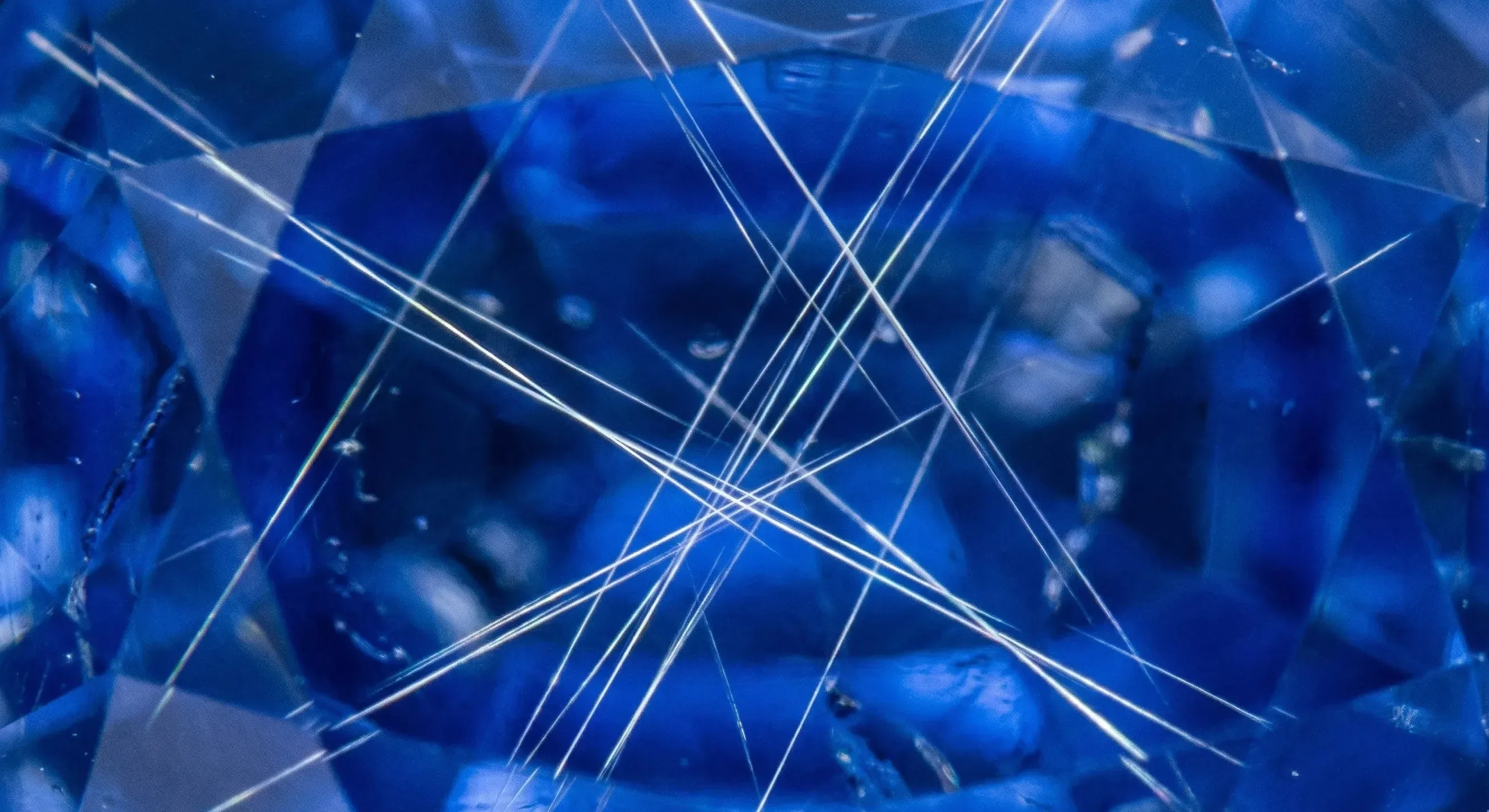High-magnification view into a blue sapphire showing rutile needle inclusions (silk) intersecting at characteristic angles.