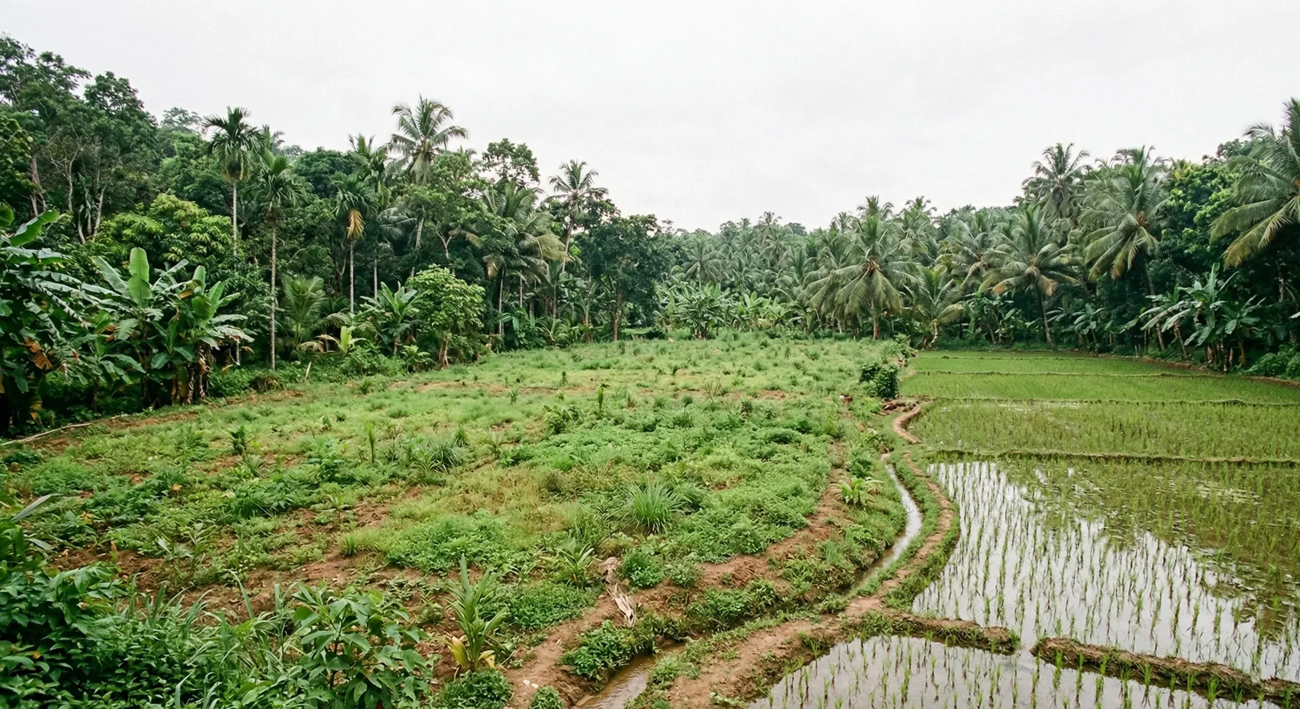 Small-scale gem miners at a timber-lined alluvial pit, hauling gravel and washing material on screens, with tropical jungle behind.